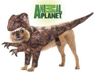 Animal Planet Raptor Dinosaur Dog Pet Costume *New*