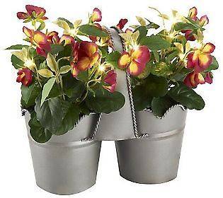 Bethlehem Lights Battery Operated 9 Double Potted Pansies with LEDs 