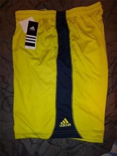 adidas climalite in Shorts