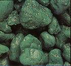 WINQGR GREEN AQUARIUM GRAVEL 5 pound bag