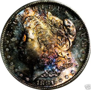1881 S Silver $1 Morgan Dollar Anacs MS 66 Monster Tone