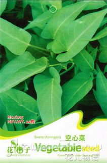   25+ Vegetable Seeds Water spinach Ipomoea Aquatica Seeds Organic Plant