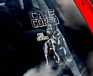   Corso   Car Window Sticker Sign   Corz Molosser Dog   n.Collar/Harness