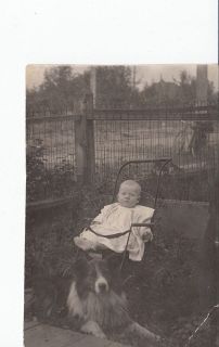 Vintage Real Photo Baby In Stroller With Dog Post Card