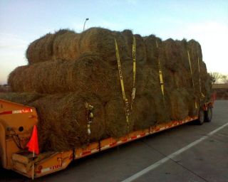 42 Orchardgrass​ Alfalfa Hay bales. Includes delivery to most 