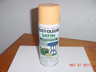 rust oleum spray paint in Home & Garden