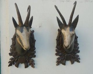 PAIR OF WOOD CARVED CHAMOIS HEADS ON MATCHING BLACK FOREST CARVED 