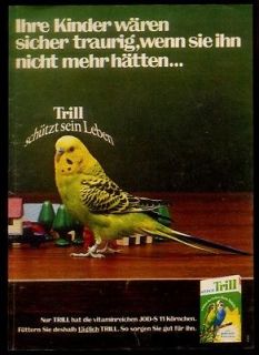 1972 parakeet budgerigar photo Trill bird food German print ad