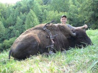 TENNESSEE BUFFALO HUNTING AT CROYS CABINS