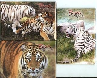 BUSCH GARDENS TAMPA BAY 3 X 2 Refrigerator Magnets BENGAL TIGERS Lot 