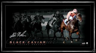 BLACK CAVIAR SIGNED FRAMED LIMITED EDITION RECORD BREAKER 20TH WIN 