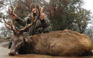 TROPHY RED STAG BULL HUNT IN THE TEXAS HILL COUNTRY *****