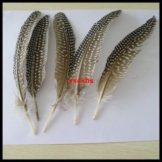 20pcs Guinea fowl wing feather 6 8inches 15 22cm ym16