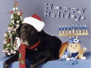   Bulk Lot 20 Interfaith Christmas & Hanukkah CardsDog Black Lab Cat