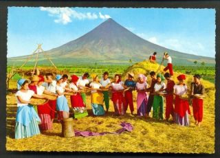 Rice Harvest Costume Mayon Volcano Luzon Philippines