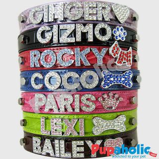 personalized dog collar in Collars & Tags