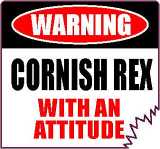 WARNING CORNISH REX WITH AN ATTITUDE 4 DIE CUT CAT FELINE STICKER