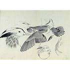 Antique Meiji Period Japanese Sumi e Male Oshidori Mandarin Duck 