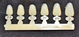   Right Lateral tooth   Dental Polycarbonate Temporary Crowns 6 sizes