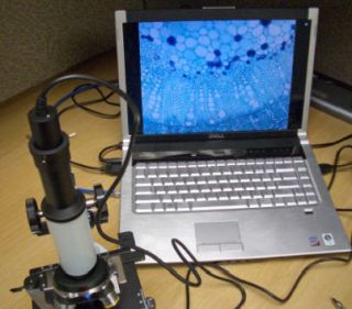 Celestron Digital Eyepiece Microscope Imager (44421) Brand New in Box