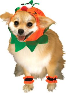Small Dog Pumpkin Costume for Dogs or Cats   Dog Costumes