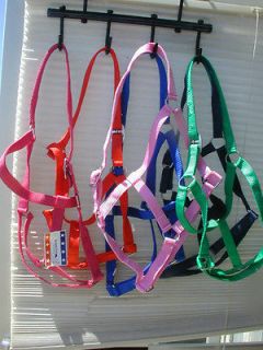 Economy Turnout Halter / Horse Lot of 4