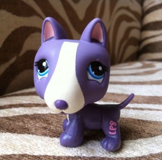 Littlest Pet Shop ~ #2448 RARE Purple BULL TERRIER dog blue eyes VERY 