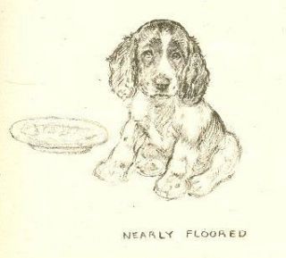 English Springer Pup Vintage Dog Print   1937 KF Barker
