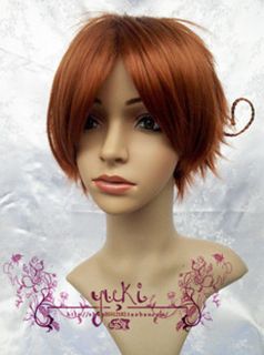 APH Axis Powers Hetalia North Italy Cosplay Wig party brown costome 