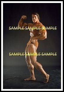 Arnold Schwarzenegger Bodybuilder Pose Mr. Olympia Original Color 