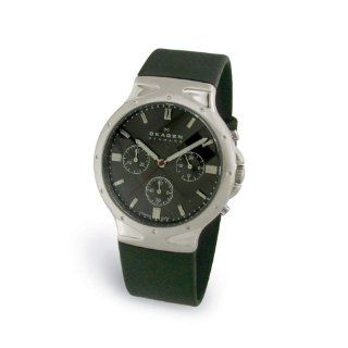 Skagen Mens Titanium Watch #489LTRM Watches 