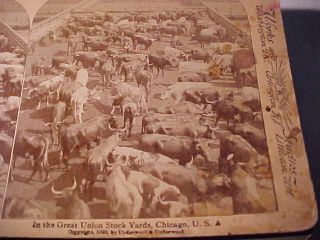 1893 GREAT UNIOUN STOCK YARDS, CHICAGO ILL OLD STEREO VIEWER CARD