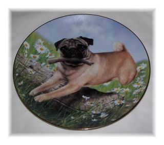 NeW DANBURY MINT PUG PLATE PROUD PUGS Dog Puppy Limited Edition IN BOX