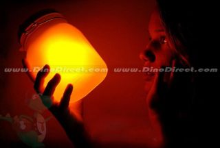 Wholesale Colors Changing Sun Jar LED Light Sensor Camp Lamp 