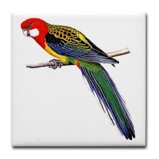 Bird Gifts  Bird Coasters  Eastern Rosella Bird Tile Coaster