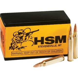 Bulk HSM .223 Remington Ammunition – 55gr. FMJ with Dry Storage Box 