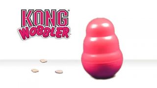 Wobbler by KONG   image 1 from the video