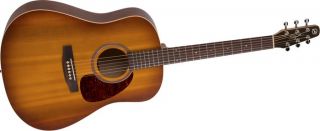 Seagull Entourage Series Dreadnought QI Acoustic Electric Guitar 