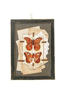 Butterfly Watercolor, Falena   Anthropologie