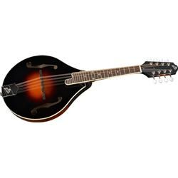 The Loar LM 220 Hand Carved A Model Acoustic Mandolin (LM 220 VS)