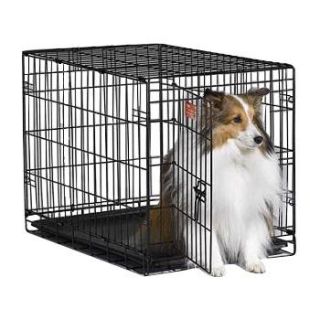 Home Dog Carriers, Crates & Kennels Midwest iCrate Single Door Folding 