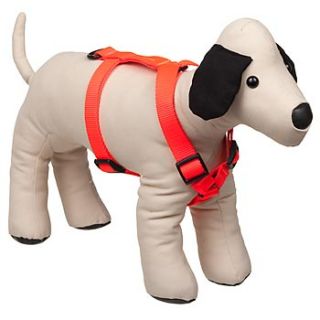 Home Dog Collars, Harnesses & Leashes Bison Pet Blazing Orange 