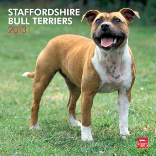Home Dog Gifts for Pet Lovers Staffordshire Bull Terriers 2013 Square 