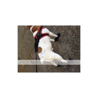 respirável malha estilo botas de velcro para cães (xs xl, preto)