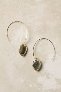 Coiling Branch Hoops   Anthropologie