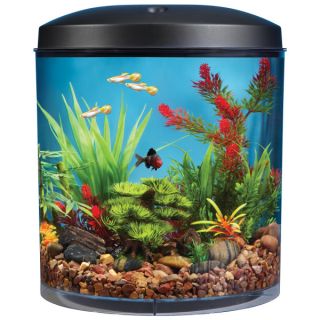    Boutique Fish Top Fin® AquaScene 3.5 Gallon Aquarium 