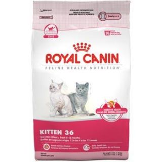 Home Cat Food Royal Canin Feline Health Nutrition Kitten 36