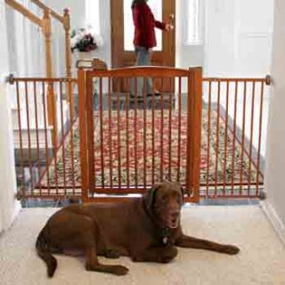 Richell One Touch Pet Gate 150 in Autumn Matte at  