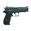 Bass Pro Shops   Sig Sauer® Mosquito .22LR Pistol  