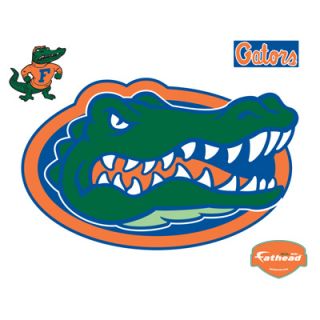 Fathead University of Florida Gators Logo Vinyl Wall Graphic  Meijer 